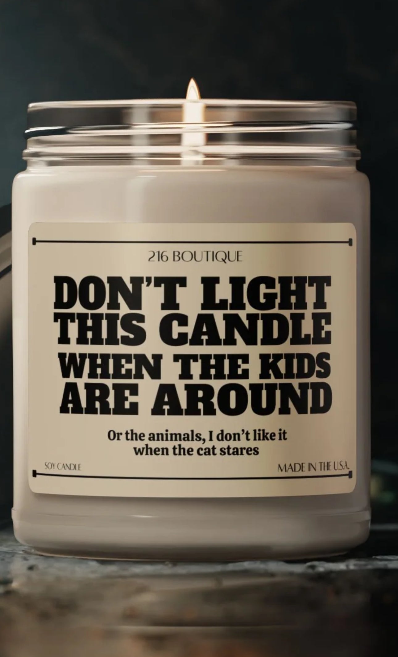 Humorous Scented Soy Candle - 'Don't Light This Candle When the Kids Are Around' - 9oz